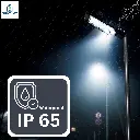 7.webp