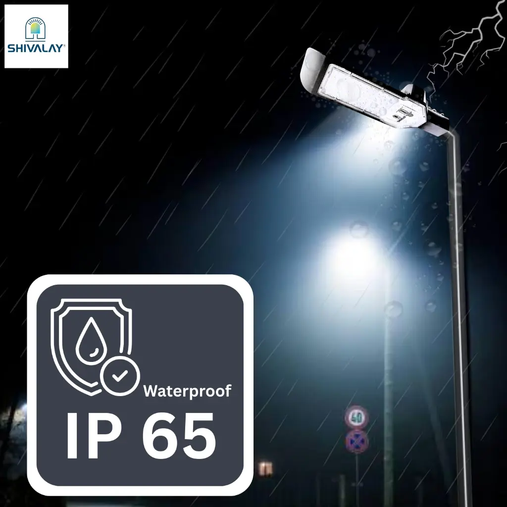 8.webp
